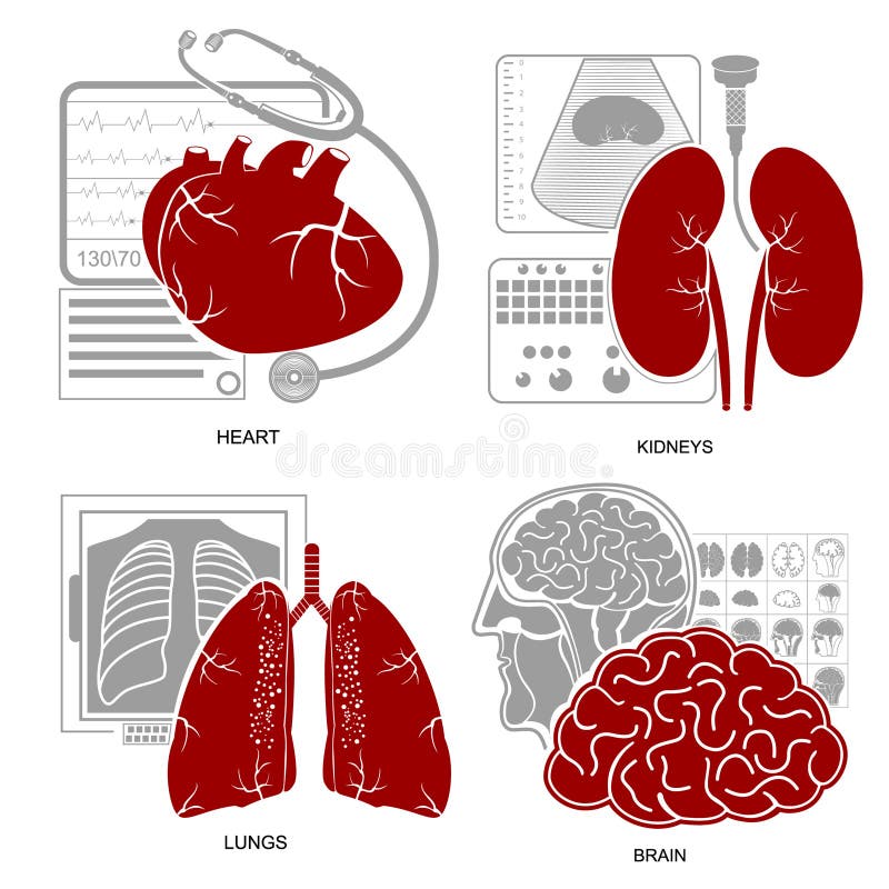 Cztery płaskiej projekta medecine ikony płuc mózg kierowego cynaderki ilustracja wektor Cztery płaskiej projekta medecine ikony płuc mózg kierowego cynaderki ilustracja wektor