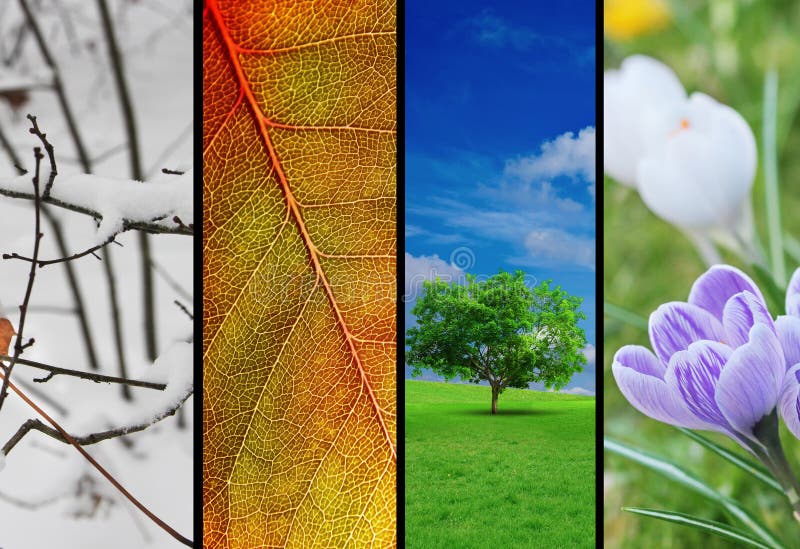 image of the four seasons. image of the four seasons