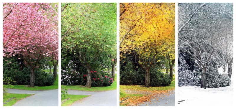 Spring, Summer, Fall and Winter. Four seasons photographed on the same street from the exact same location. Visible falling snow in the winter image. Spring, Summer, Fall and Winter. Four seasons photographed on the same street from the exact same location. Visible falling snow in the winter image.