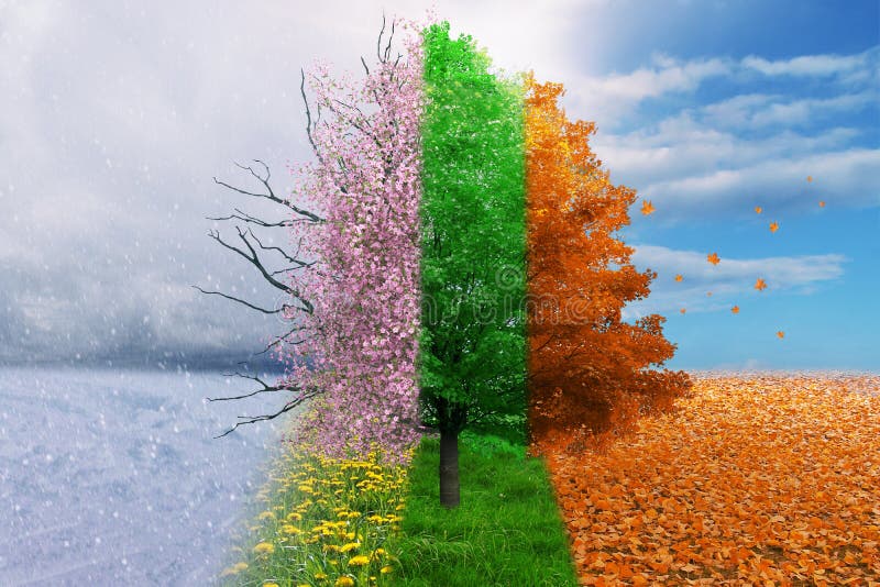 Cztery sezonów zmiany pojęcia drzewo