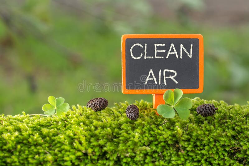 Clean air text on small blackboard sign on green moss with Clover , blur green tree plant background. Clean air text on small blackboard sign on green moss with Clover , blur green tree plant background