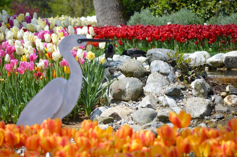 Photo of one part of beautiful garden with colorful flowers, most of them are tulips, focus on crows, decoration stork. Photo of one part of beautiful garden with colorful flowers, most of them are tulips, focus on crows, decoration stork.