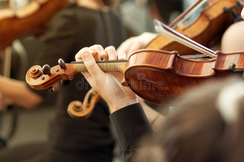 Członek bawić się skrzypce na koncercie muzyki klasycznej orkiestra
