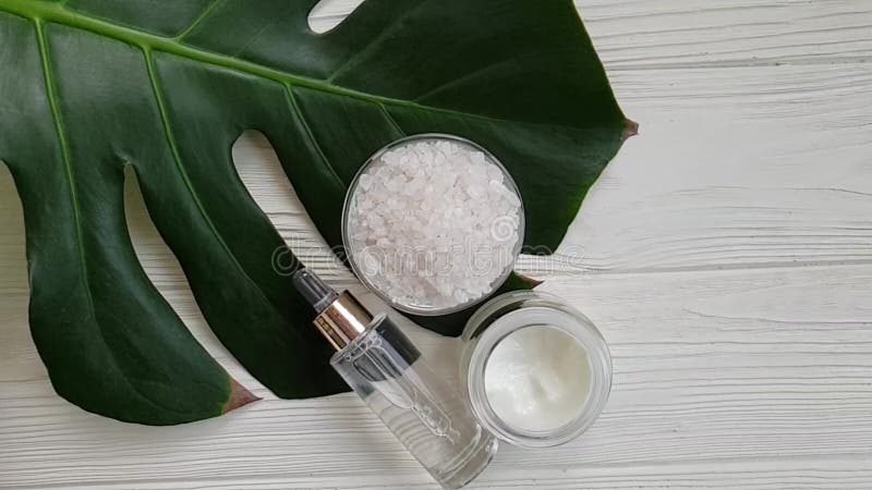 Cámara lenta de la crema de la hoja cosmética de Monstera