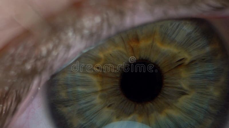 Cámara lenta de macro de cierre extremo del detalle del ojo masculino humano. almacen de metraje de vídeo
