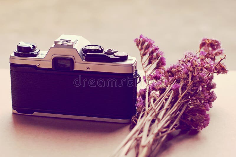 Cámara y flores viejas con efecto retro del filtro imágenes de archivo libres de regalías Cámara y flores viejas con efecto retro del filtro imágenes de archivo libres de regalías