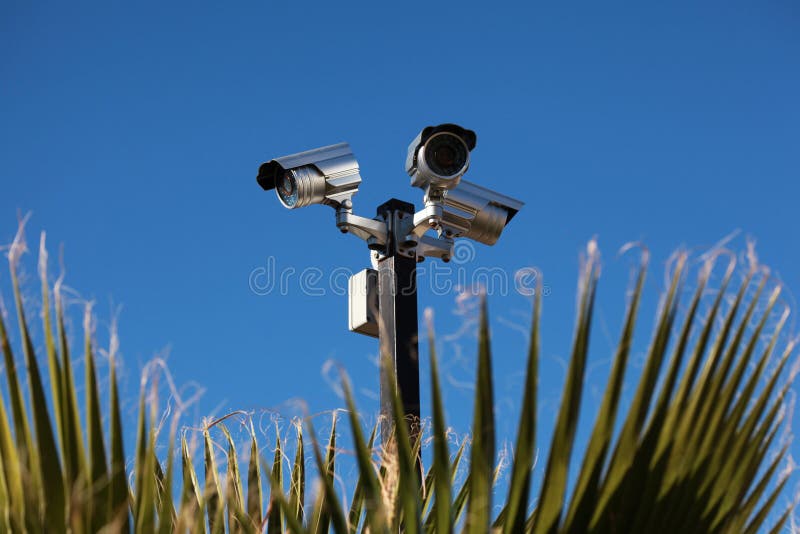 Security cameras, blue sky and plants. Security cameras, blue sky and plants