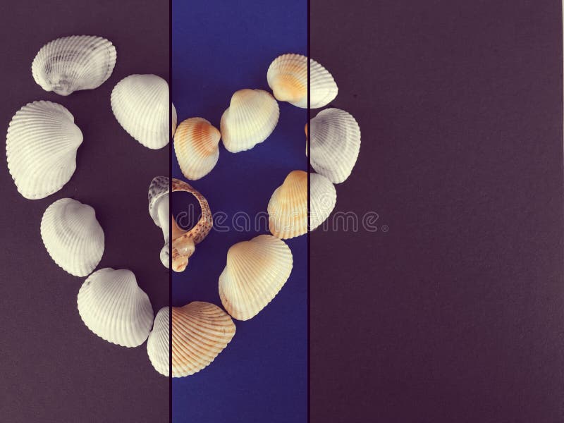 Cáscaras del mar que forman un hogar fotografía de archivo Cáscaras del mar que forman un hogar fotografía de archivo
