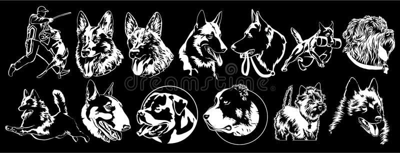 Cães de diferentes raças adequados para bordados ilustração stock