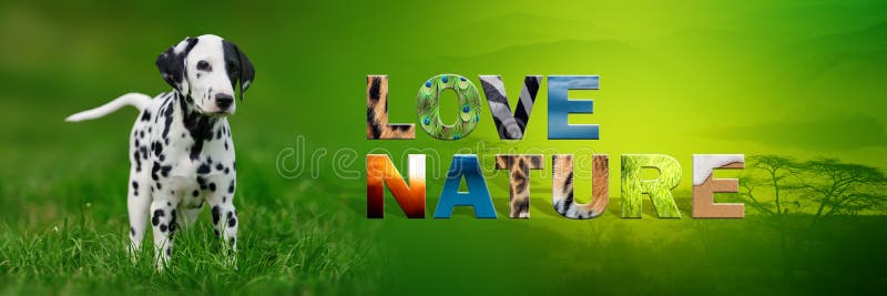 Cão com natureza do amor do texto imagens de stock royalty free Cão com natureza do amor do texto imagens de stock royalty free