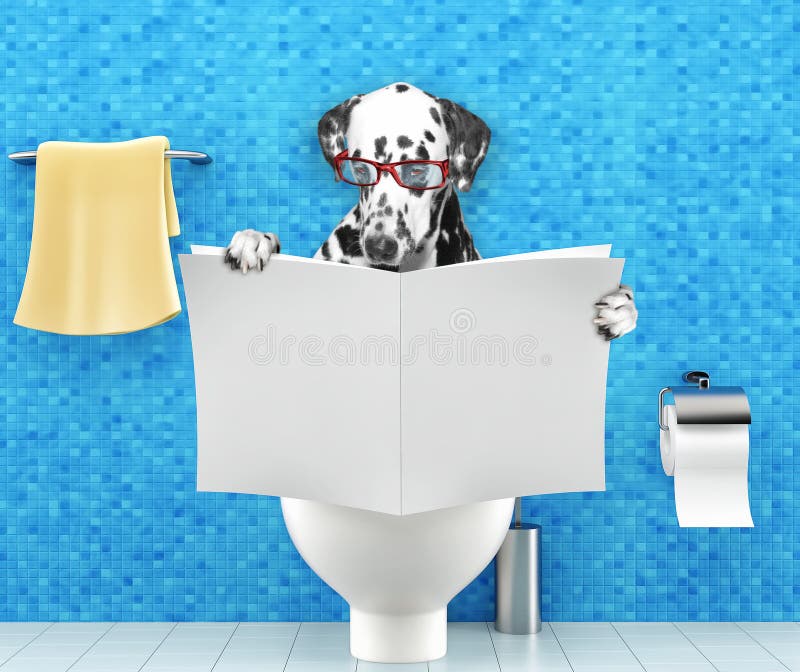 Cão Dalmatian que senta-se em um assento da sanita com o compartimento ou o jornal da leitura dos problemas ou da constipação da imagens de stock royalty free Cão Dalmatian que senta-se em um assento da sanita com o compartimento ou o jornal da leitura dos problemas ou da constipação da imagens de stock royalty free