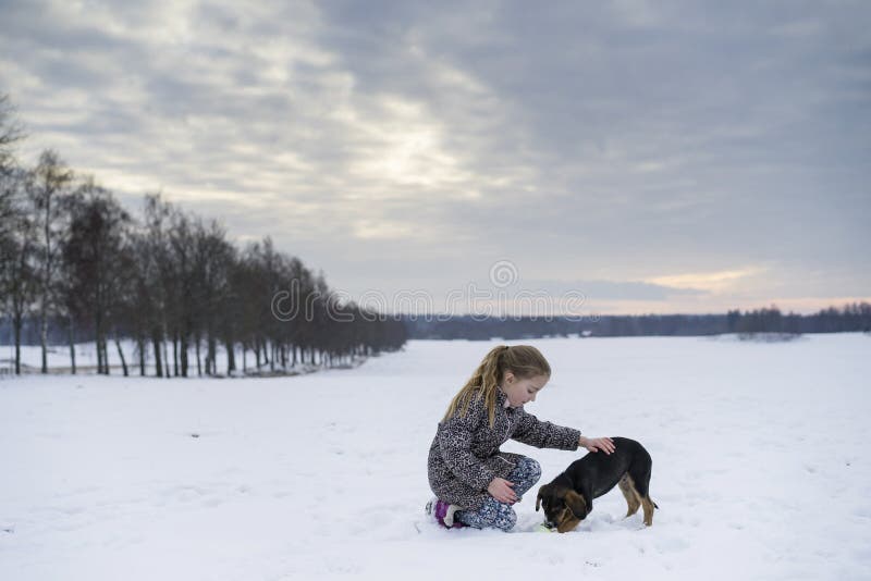 Cão de cachorrinho sueco caucasiano louro pequeno do jogo e do afago da menina na paisagem sueco do inverno