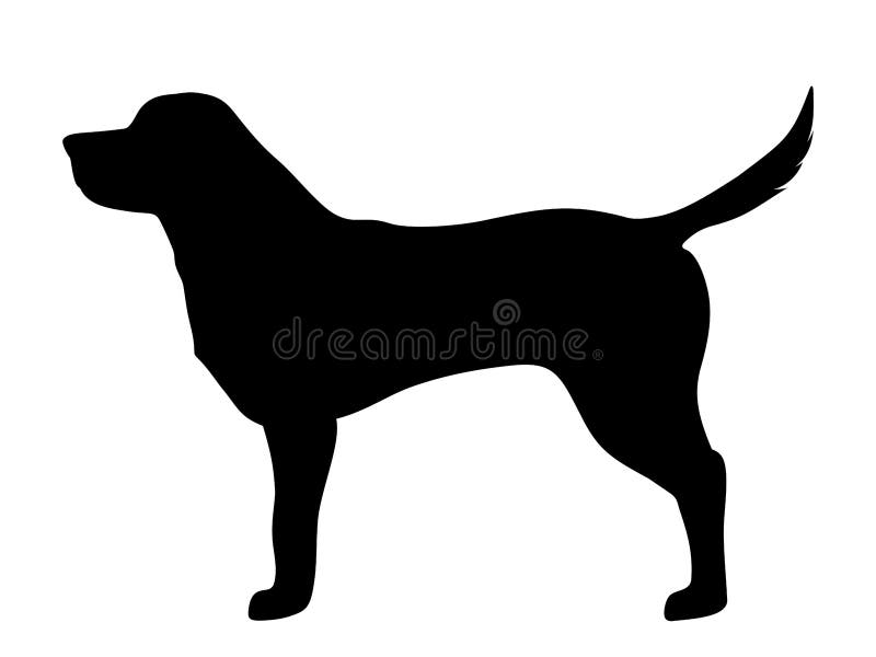 Cão labrador retriever. Silhueta preta vetorial. ilustração do vetor