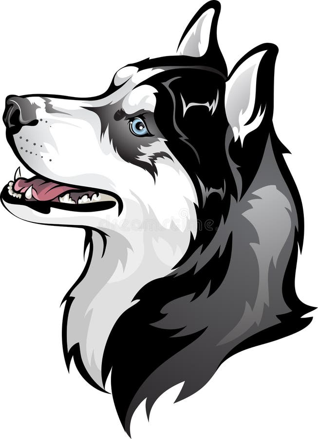 Cão de puxar trenós Siberian ilustração stock Cão de puxar trenós Siberian ilustração stock
