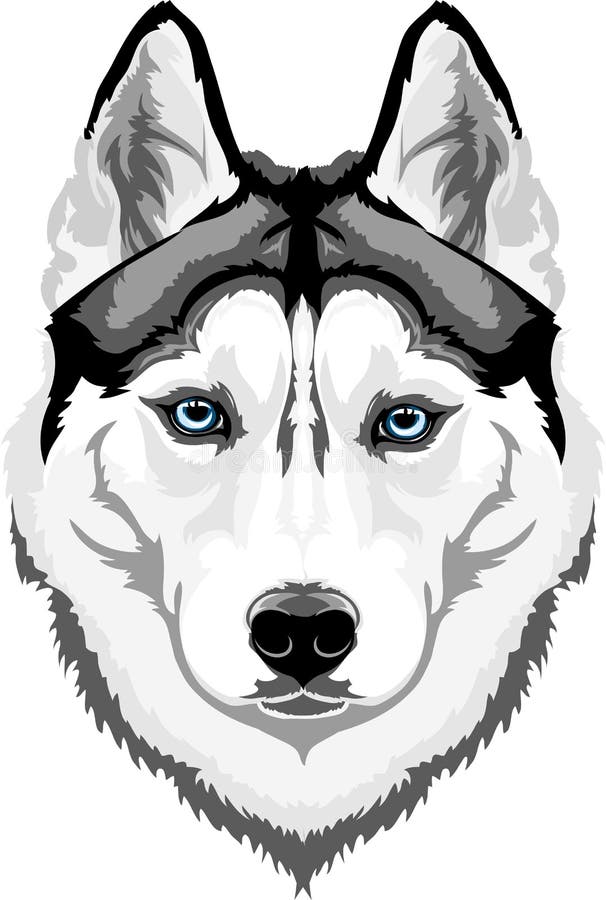Cão de puxar trenós Siberian ilustração do vetor Cão de puxar trenós Siberian ilustração do vetor