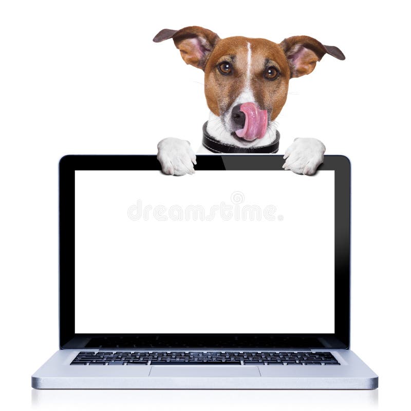 Cão do computador fotografia de stock Cão do computador fotografia de stock