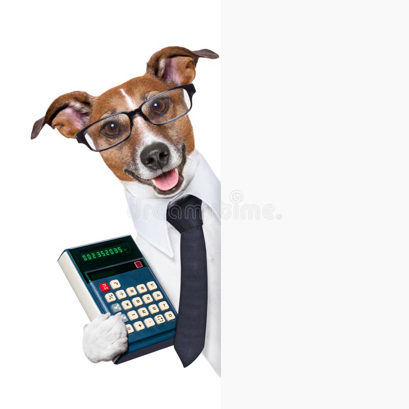 Cão do contador