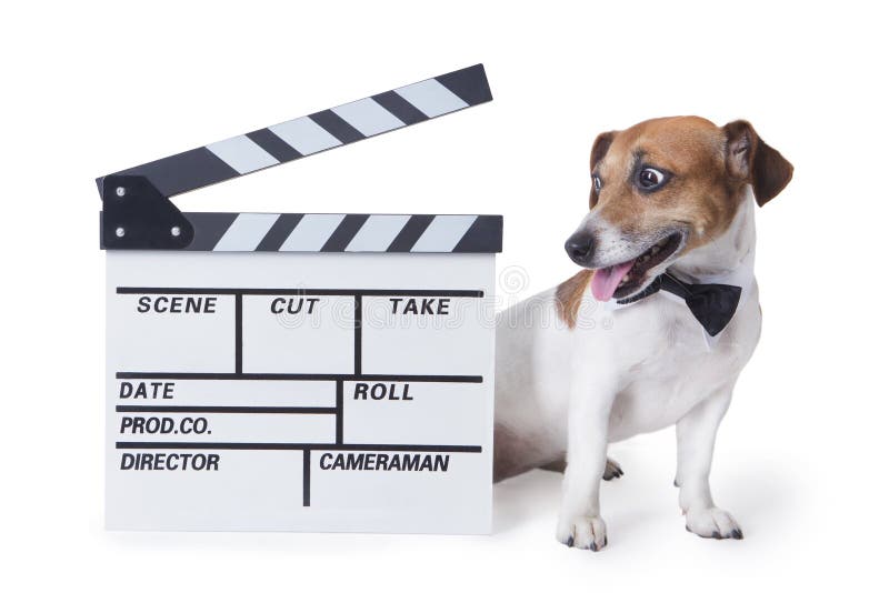 Cão do filme fotos de stock royalty free Cão do filme fotos de stock royalty free
