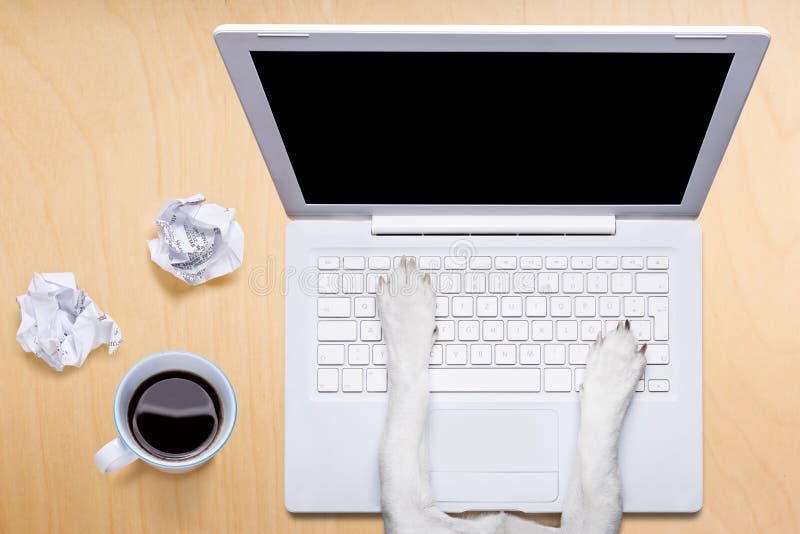 Cão do trabalhador de escritório com o computador do PC do portátil na tabela da mesa imagem de stock Cão do trabalhador de escritório com o computador do PC do portátil na tabela da mesa imagem de stock