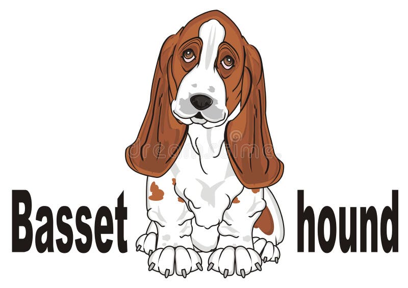 Cão e seu nome da raça ilustração royalty free