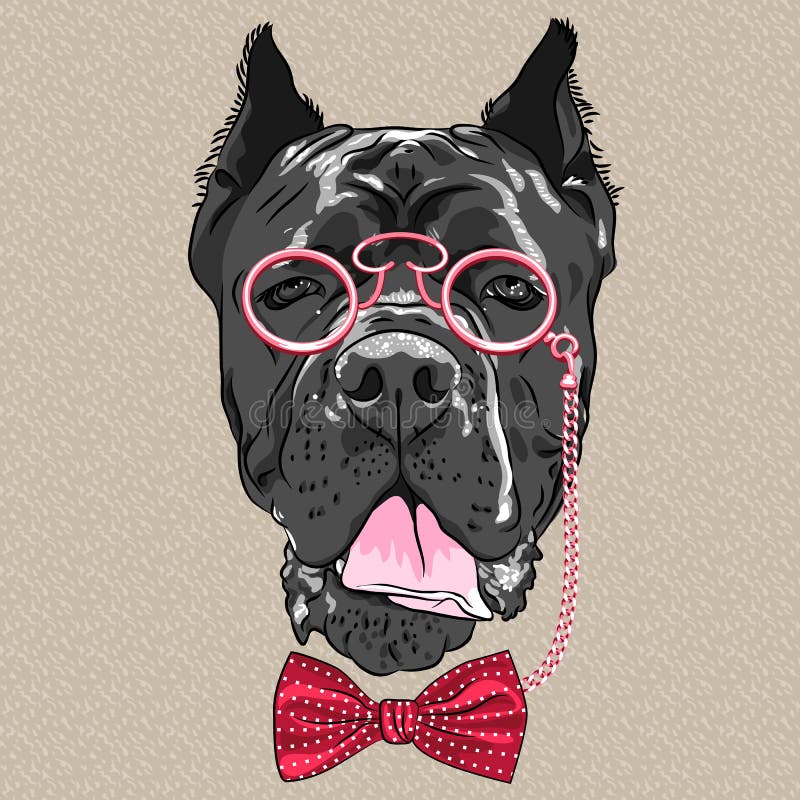 Cão engraçado Cane Corso do moderno dos desenhos animados do vetor ilustração stock Cão engraçado Cane Corso do moderno dos desenhos animados do vetor ilustração stock