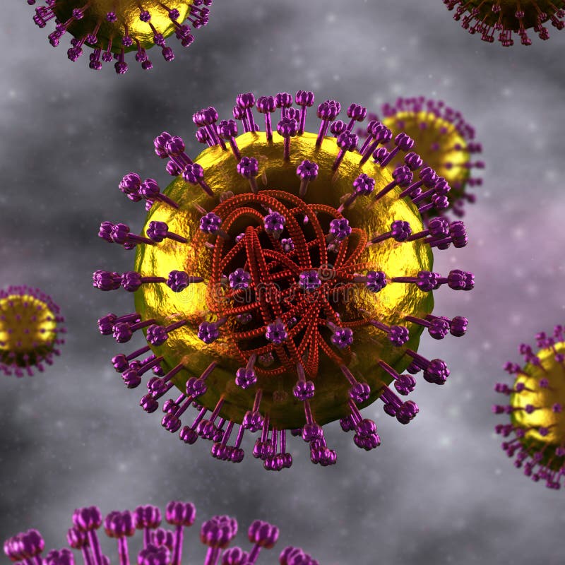 Measles Cell - Microbiology detailed view - immunity. Measles Cell - Microbiology detailed view - immunity