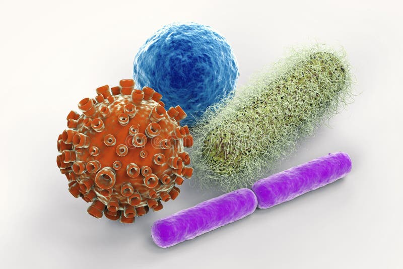 Células del virus y de las bacterias