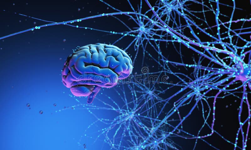 3D model of the human brain on dark background surrounded by neural networks. 3d render. 3d illustration Synapses and neurons. 3D model of the human brain on dark background surrounded by neural networks. 3d render. 3d illustration Synapses and neurons