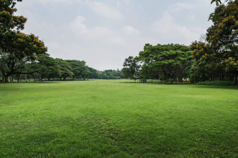 Paisaje Con Los árboles Y El Cielo De Las Nubes Foto de archivo