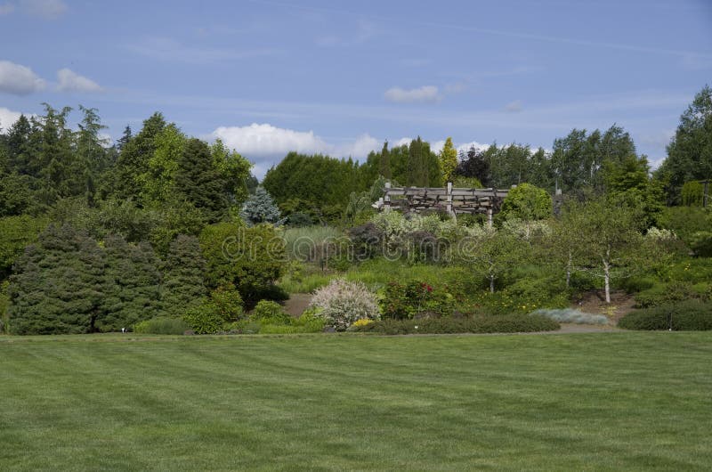 Nice level lawn in Oregon Garden. Nice level lawn in Oregon Garden.