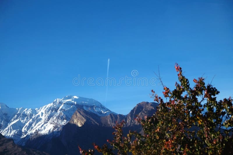 Céu azul brilhante claro no outono imagem de stock royalty free Céu azul brilhante claro no outono imagem de stock royalty free