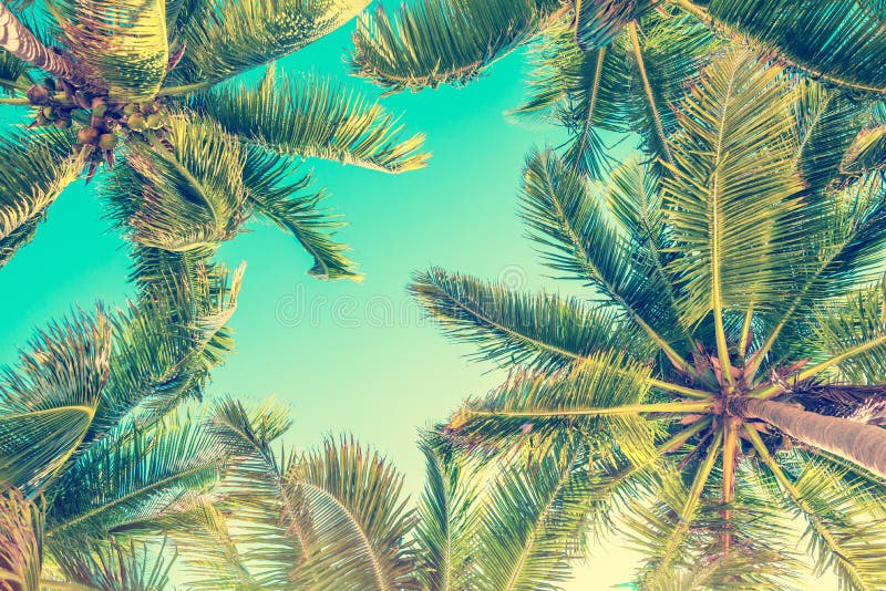 Blue sky and palm trees view from below, vintage style, summer background. Blue sky and palm trees view from below, vintage style, summer background