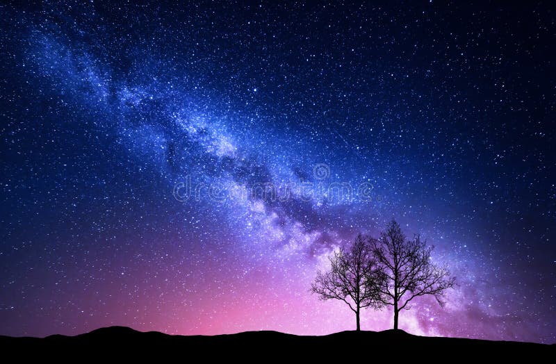 Céu estrelado com Via Látea e as árvores cor-de-rosa Paisagem da noite