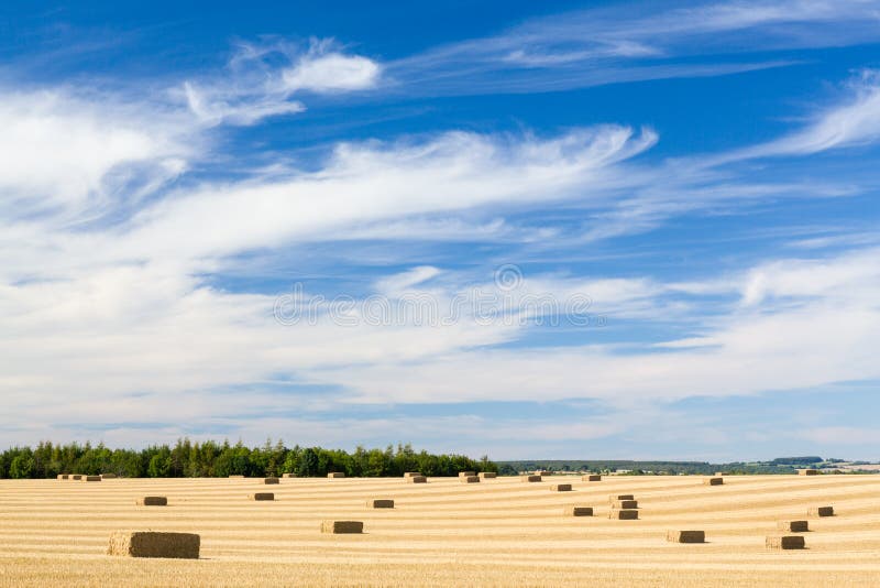 Dramatic blue sky and clouds over harvested corn in Cotswolds in England. Dramatic blue sky and clouds over harvested corn in Cotswolds in England