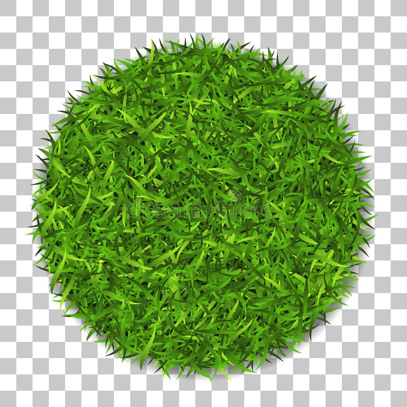 Círculo 3D de la hierba Planta verde, campo redondo herboso, fondo transparente blanco aislado Símbolo de la esfera del globo, fr libre illustration Círculo 3D de la hierba Planta verde, campo redondo herboso, fondo transparente blanco aislado Símbolo de la esfera del globo, fr libre illustration