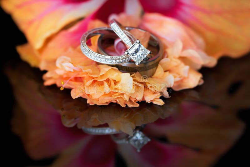 Círculo da aliança de casamento dos diamantes ajustado com solitário fotografia de stock Círculo da aliança de casamento dos diamantes ajustado com solitário fotografia de stock