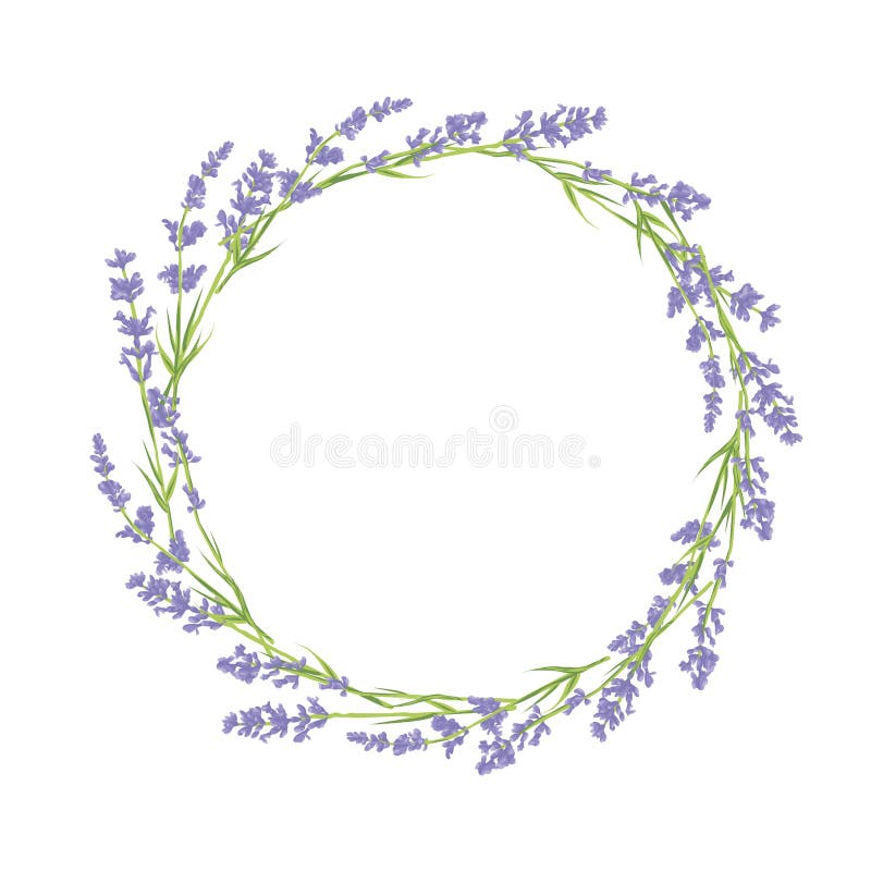 Círculo de flores da alfazema ilustração royalty free Círculo de flores da alfazema ilustração royalty free