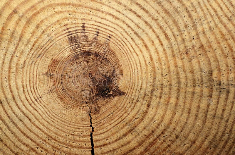 Círculo de madera con un corte de la fractura imagen de archivo libre de regalías Círculo de madera con un corte de la fractura imagen de archivo libre de regalías