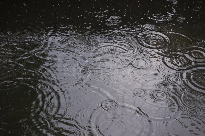 The water is greenish. The surface of the water during the rain close-up. The middle of the water reflects the sun. Summer rain. The water is greenish. The surface of the water during the rain close-up. The middle of the water reflects the sun. Summer rain.