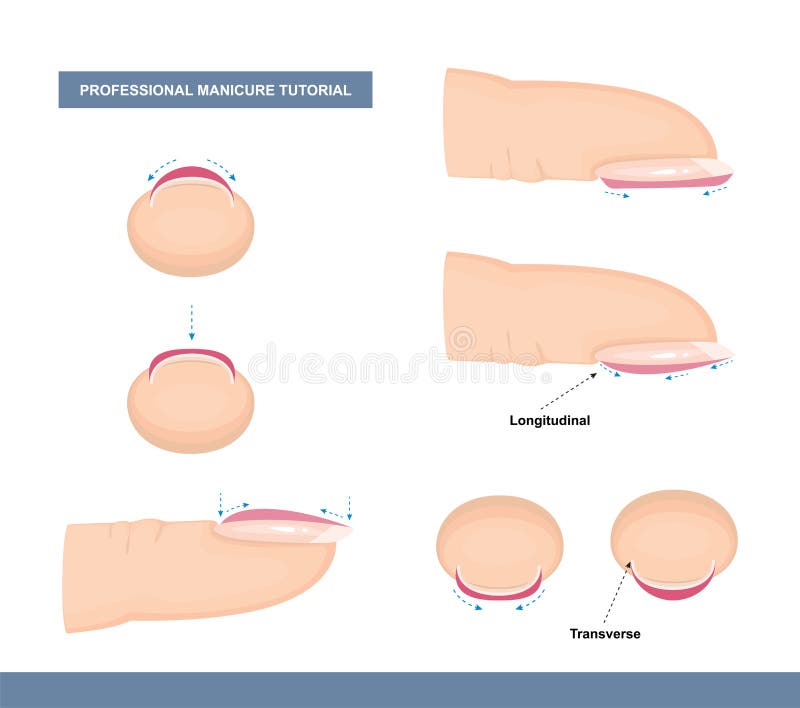 Cómo pintar clavos profesionalmente Consejos y trucos Tutorial sobre manicura Vector Cómo pintar clavos profesionalmente Consejos y trucos Tutorial sobre manicura Vector