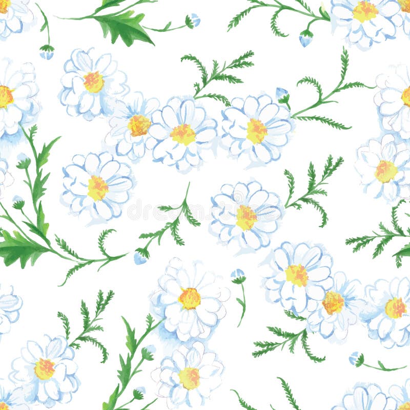 Cópia sem emenda do vetor das flores da camomila ilustração royalty free Cópia sem emenda do vetor das flores da camomila ilustração royalty free
