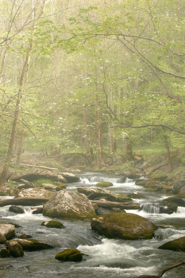 Riacho Primaveril no nevoeiro fotografia de stock