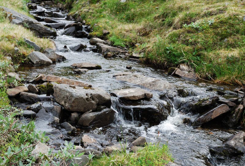 Clear brook is running over pebbles. Its banks become overgrown with green grass. Clear brook is running over pebbles. Its banks become overgrown with green grass.