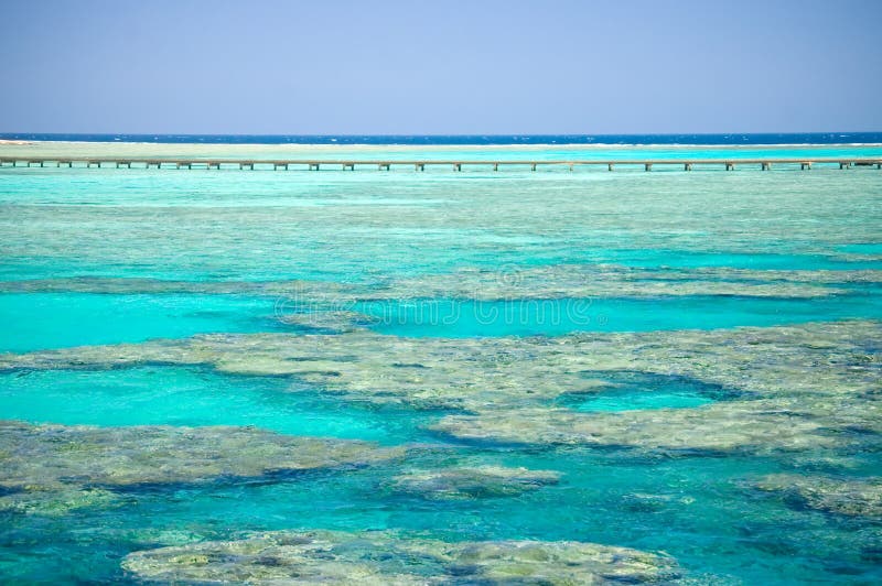 Côte de corail de la Mer Rouge photographie stock Côte de corail de la Mer Rouge photographie stock