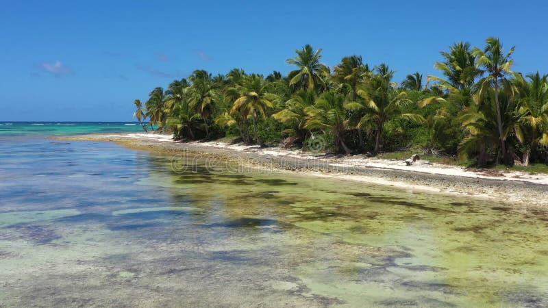Côte tropicale avec cocotiers palmiers sur l'île près de la mer caraïbe. république dominicaine banque de vidéos