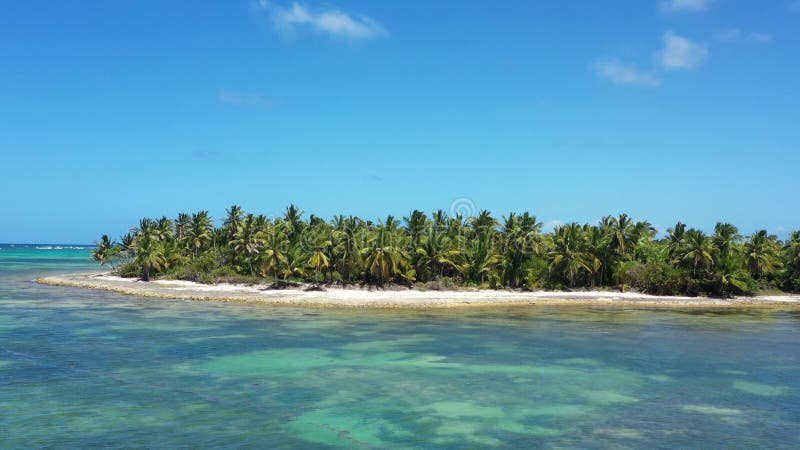 Côte tropicale avec cocotiers palmiers sur l'île près de la mer caraïbe. république dominicaine banque de vidéos