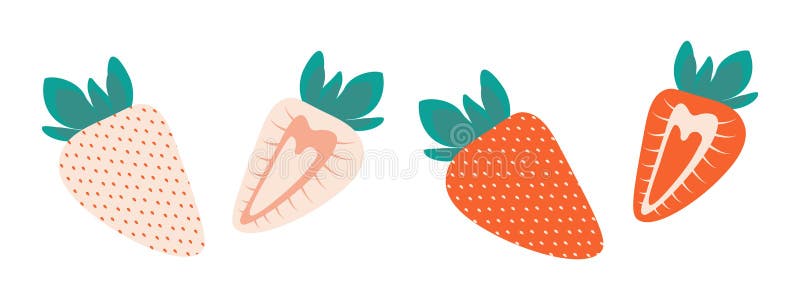 Căpșuni albe și roșii întregi și jumătate. fructe de vară sănătoase. elemente tematice sau de cărți de meniu stock illustration