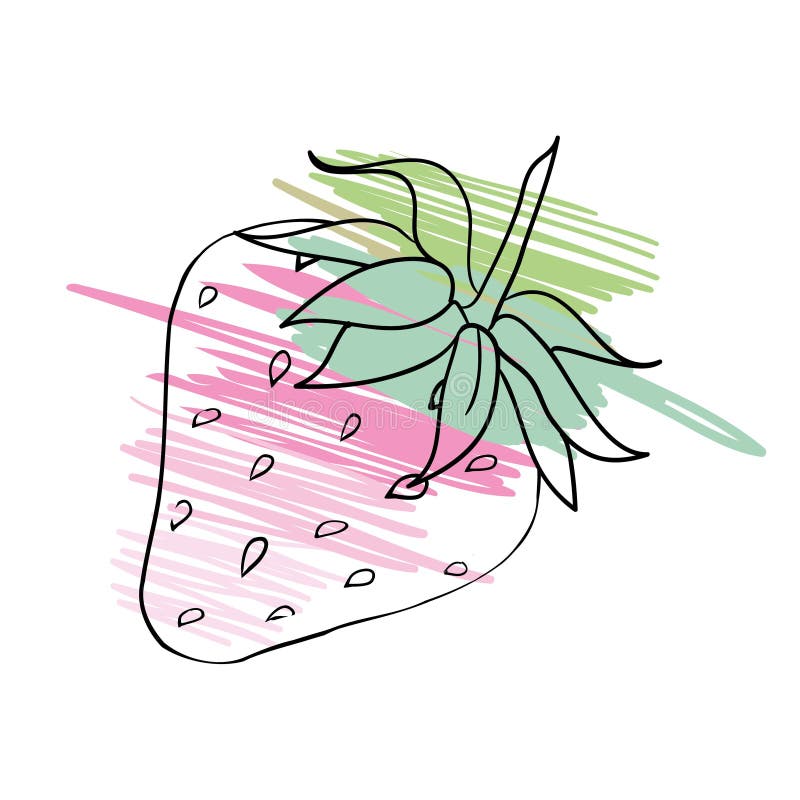 Căpșuni. ilustrare vectorială stock illustration