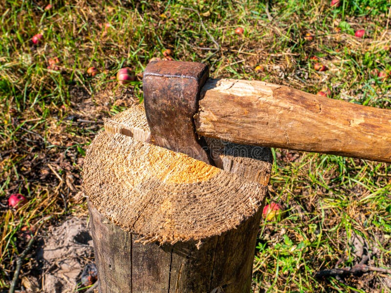 Hache Dans La Souche. Hache Prête À Couper Du Bois. Outil De