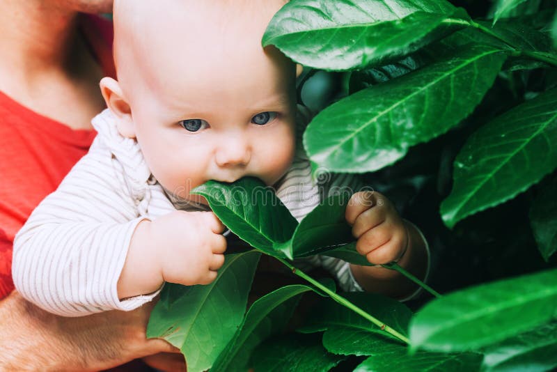 Decouverte De Nature Par Le Bebe Photo Stock Image Du Enfant Herbe